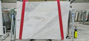POLAR WHITE MERMER